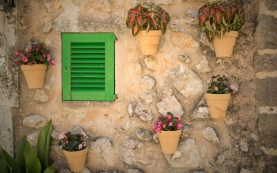 Zo maak je zelf een verticale tuin