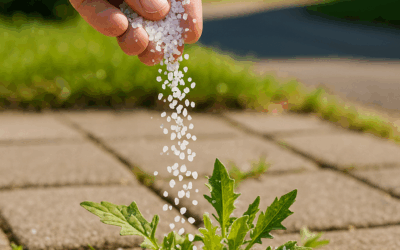 Wanneer zout strooien tegen onkruid?