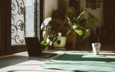 Feng Shui geheimen: de ultieme gids voor iedere ruimte